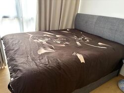 Hill House (D9), Apartment #610821591